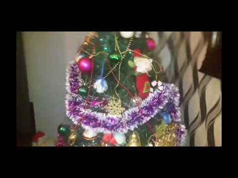 არსებობს თუ არა თოვლის პაპა***ეკატერინე მაზანაშვილი