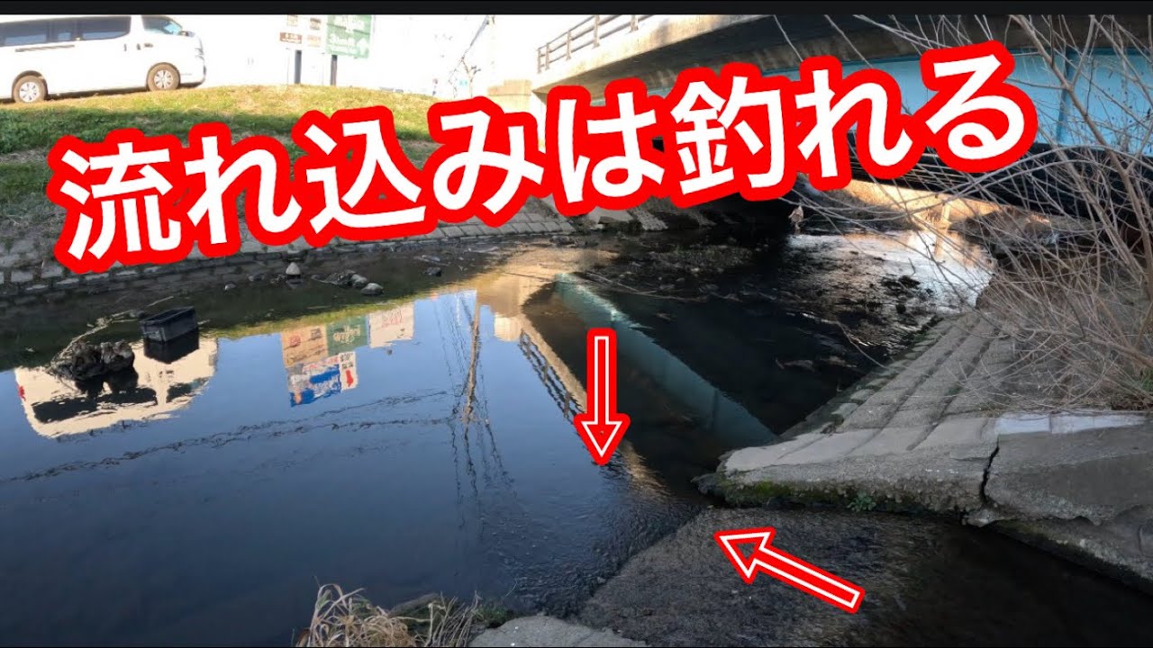 「流れ込みは釣れる」　冬でも釣れるポイント　#小物釣り　#原市沼川