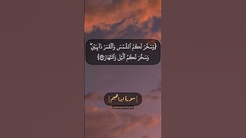 سورة ابراهيم الآية ٣٢ الى ٣٤ بصوت الشيخ محمد صديق المنشاوي