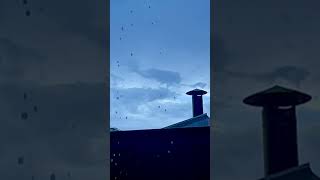 Raindrops falling softly create a melody that soothes the soul—immerse yourself in nature’s symphony