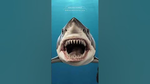 Como pescar um megalodonte🦈 #comedia #viral #tubarão