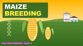 Maize Breeding on Odoo 19 — Crop Seeds Breeding Management