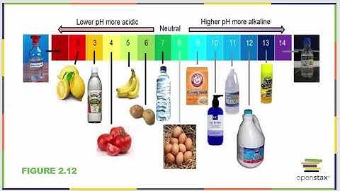 Chapter Two OpenStax Concepts of Biology