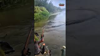 Angler Berhasil Strike Ikan Super Di Sungai#shorts#animals#fishing