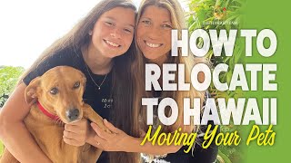 How to Relocate to Hawaii: Moving Your Pets