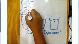Scientific Method Vocabulary