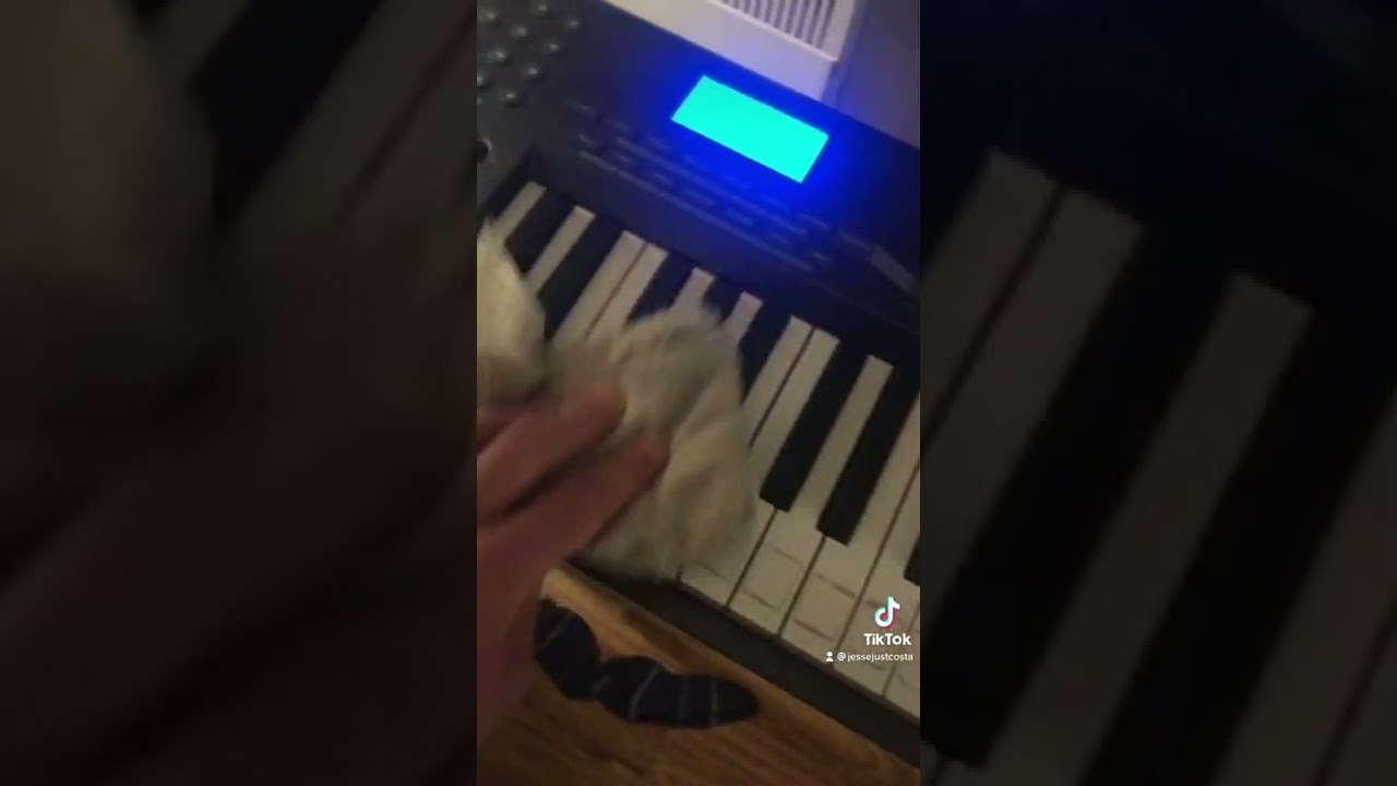 Brought to you in part by Mr. Clean 