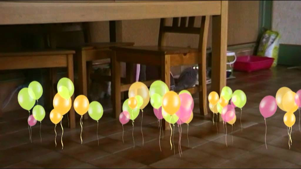 Chatons Persan - YouTube