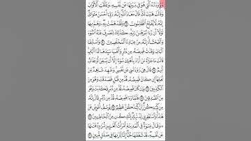 سورة يوسف ص ٢٣٨ من آية 23- 30. تيسير الحفظ والمراجعة. Holy quran