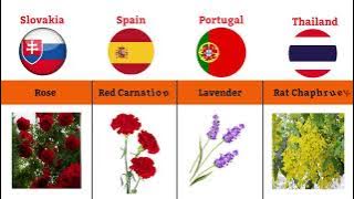 National Flower from different country ;44 country list I #nationalflower #infohub #generalknowledge