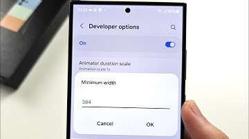 How To Change DPI on Samsung Galaxy S24 Ultra