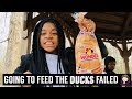 VLOG: Going to feed the ducks Failed 🤷🏻‍♀️🦆