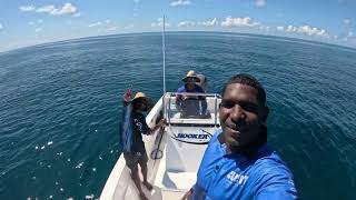 SPEARFISHING With Family Our Lifestyle at (Reefs Off Palm Island)