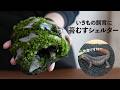 取り出しできる苔むすシェルターの作り方【イモリ・カニ・カエル・ダンゴムシ】 No.230