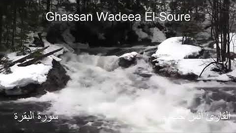 سورة البقرة كاملة -بصوت سيجعلك تسمعها وتكررها كثيرا -الشيخ انس جلهوم .طاردة للشياطين