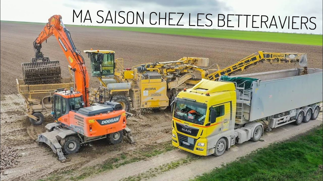 🇫🇷 MA SAISON DANS LES PLUS GRANDES SUCRERIES D'EUROPE = 25 000T / jour 😱 CRISTAL UNION ‼️