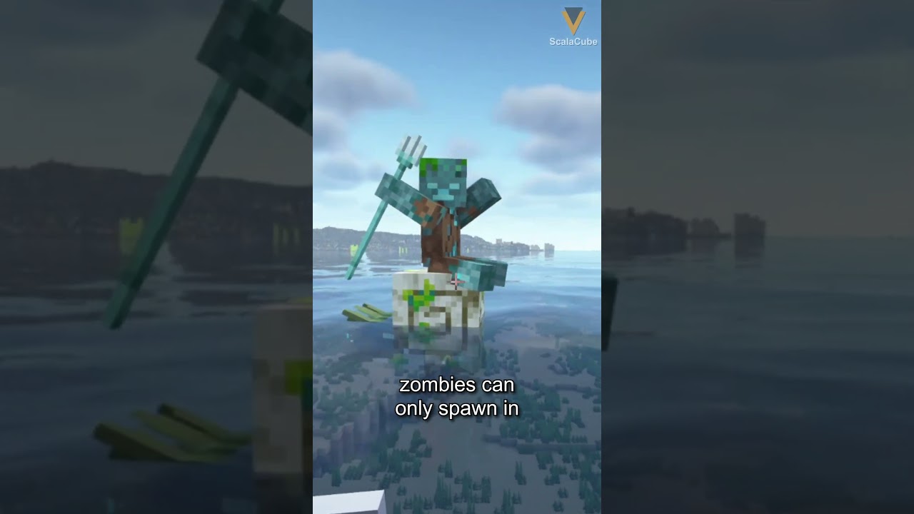 What is The Nautilus in Minecraft