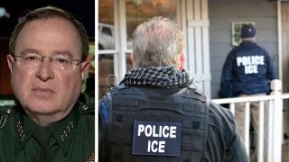 Florida sheriff: Illegal criminals are preying on our people