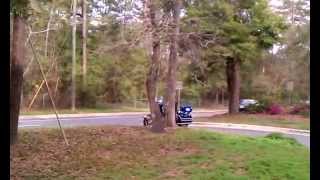 Joe Biden escort in Tallahassee Florida