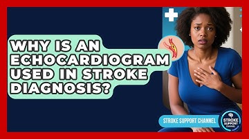 Why Is An Echocardiogram Used In Stroke Diagnosis? - Stroke Support Channel