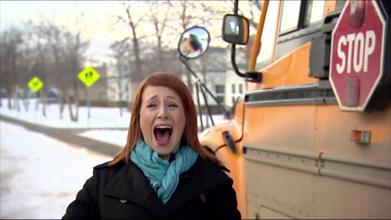 Cat jumps on cameraman