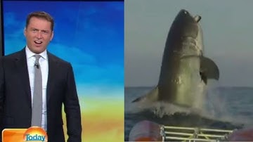 Sightings That Prove The Megalodon Exists - Part 4