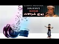 CHiKH MouNiR SRaWi Live Tassoust 2018 زوج غزالات CHiKH MouNiR SRaWi Live Tassoust 2018 زوج غزالات