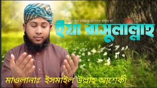 ইয়া রাসুলাল্লাহ ইয়া হাবীবাল্লাহ ২০২৩ সালের সেরা নাতে রাসুল।