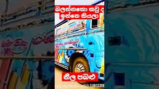 බලන්නකො කවුද ඉන්නෙ කියලා  නීල පබළු sri lanka bus shorts