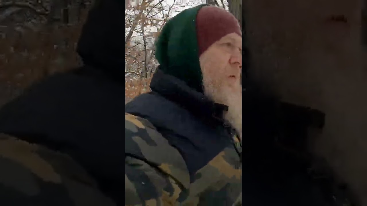 1st Time Texas Rescue Dog Sees Minnesota Snow 