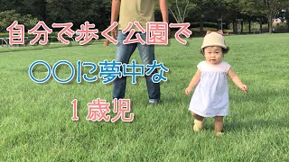 1歳１ヵ月！公園で○○に夢中！