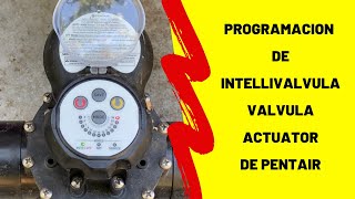 Programming the Pentair Intellivalve actuator valve How To Program An Intellivalve