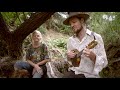 Trees eat us all  charlie mgee formidable vegetable  permaculture music