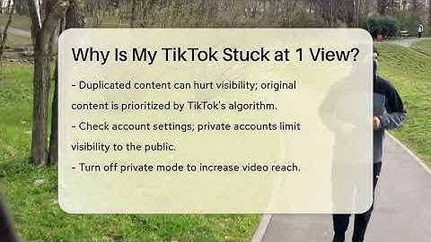 Why Is My TikTok Stuck at 1 View? - Everyday-Networking