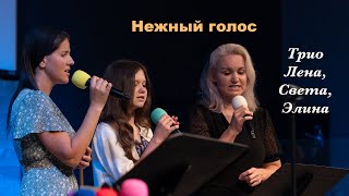 Нежный голос - трио Лена, Света, Элина