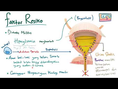 Video: ISK Setelah Bercinta: Faktor Risiko Dan Tips Pencegahan