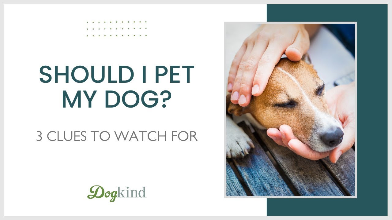 Does your dog really like being petted?