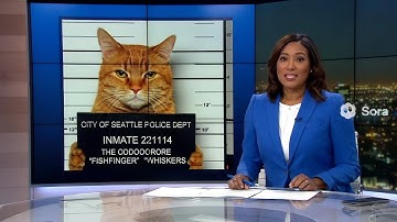 Sora 2 Cat Epic Police Chase Over a Stolen Fish (Funny Sora 2 Video)