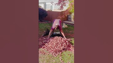 🚨Leaf Raking Hack🚨 #diy #rakingleaves