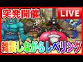 【ドラクエウォーク】突発なかもん雑談 初見/初心者の方大歓迎（仲間モンスター）20260530【ファンキーズGAME】