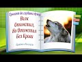 Волк Отомстил, Но Отомстил Без Крови