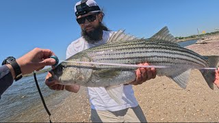 Huge Striped Bass Fishing In Long Island Sound !! #fyp #fishing #bassfishing #ocean 