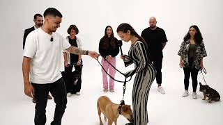 Finde Den Hundebesitzer