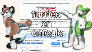 finding furries on omegle..