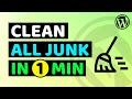 Clean WordPress Under 1 Minute | How to Clean Wordpress Website Safely