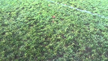 One Sheet Floater - Dollar Tree Scratchbuilt RC Plane