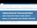 [EN] Veeam Backup for Salesforce - Quick Overview, Download, Installation, and Configuration