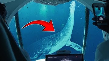 NASA Berhenti Menjelajahi Lautan Setelah Penemuan INI