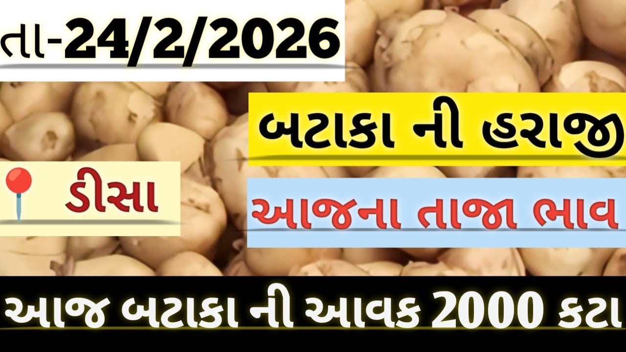 બટાકા ની હરાજી//deesa bataka ni haraji//आलु मंडी #deesa #potato #aalu #farming #new #viralvideo 