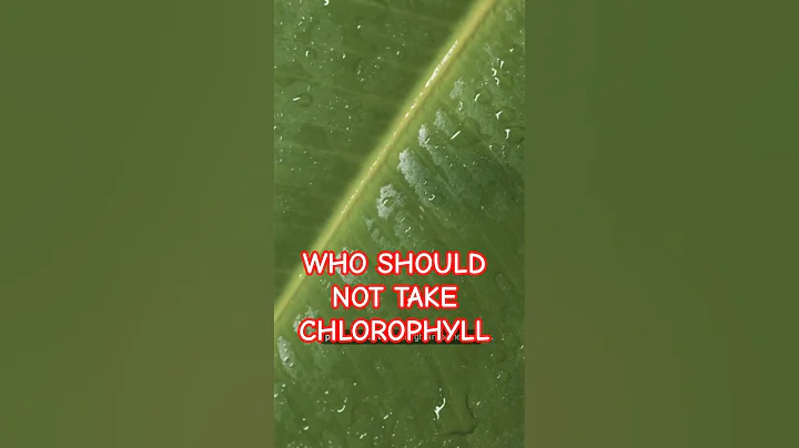 What's chlorophyll? Who Should Avoid It?